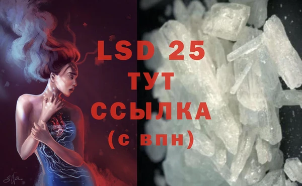 стаф Абинск