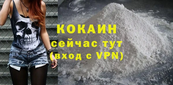 стаф Абинск