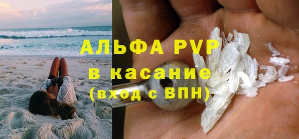 стаф Абинск