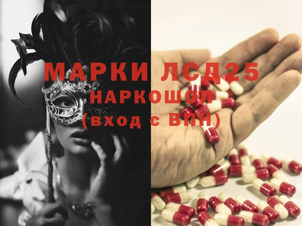 стаф Абинск
